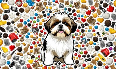 250 fantastische shih tzu namen