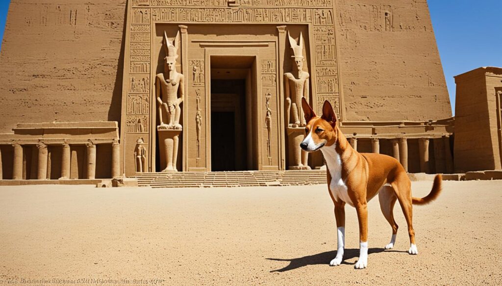 Basenji Hund