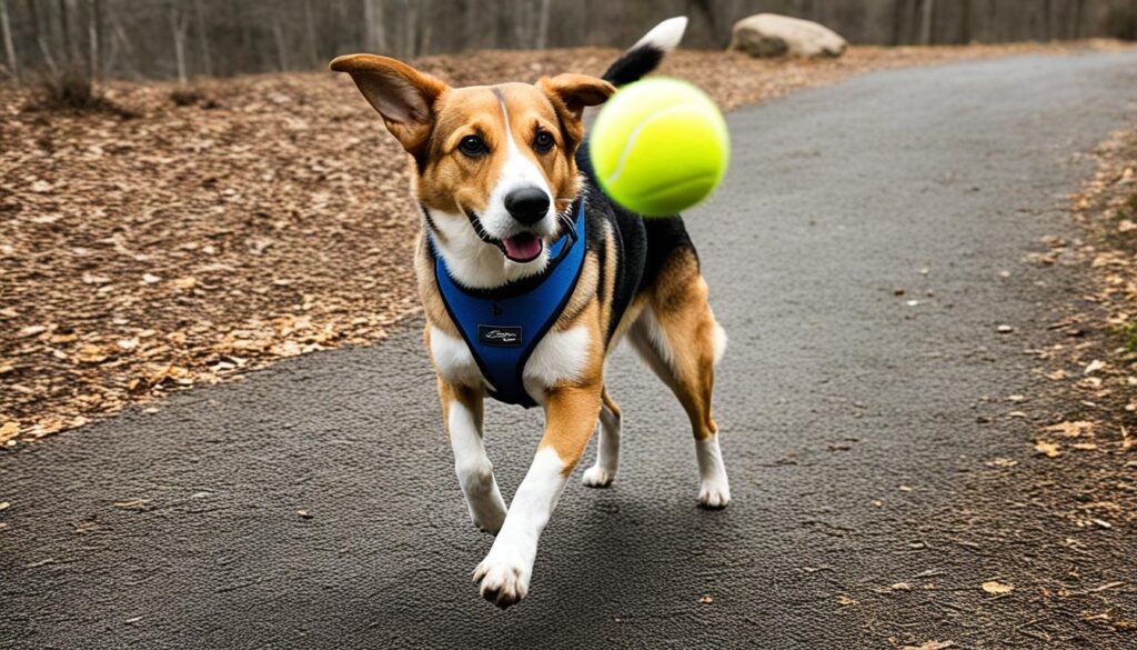 Beagle-German-Shepherd-Mix