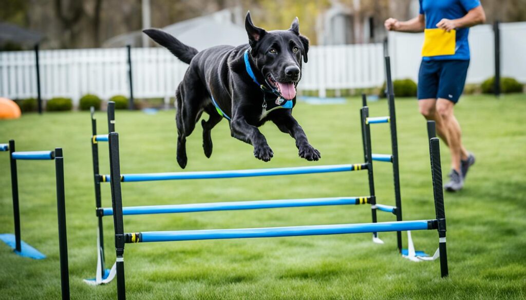 Labradane Training