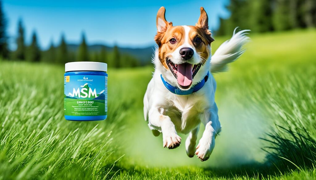 MSM-Pulver für Hunde