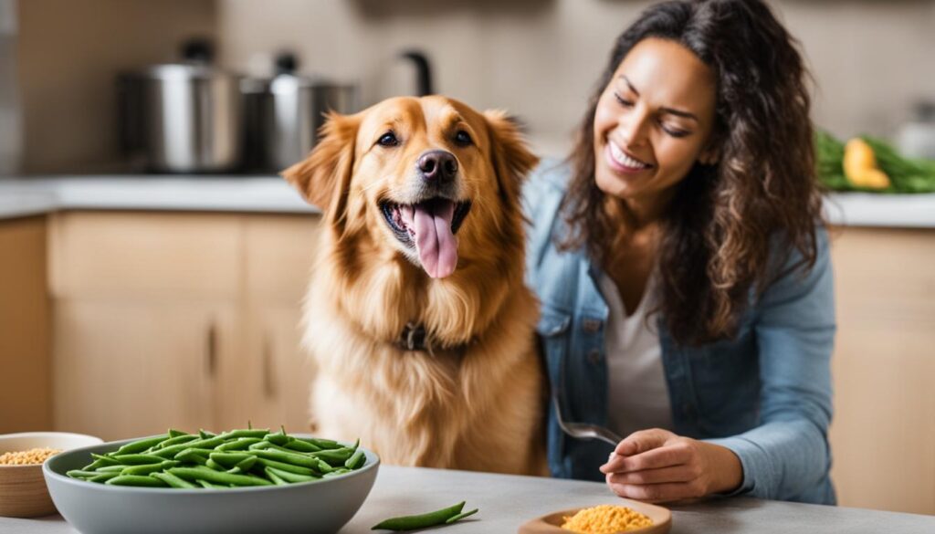 Richtlinien für die Fütterung von Bohnen an Hunde