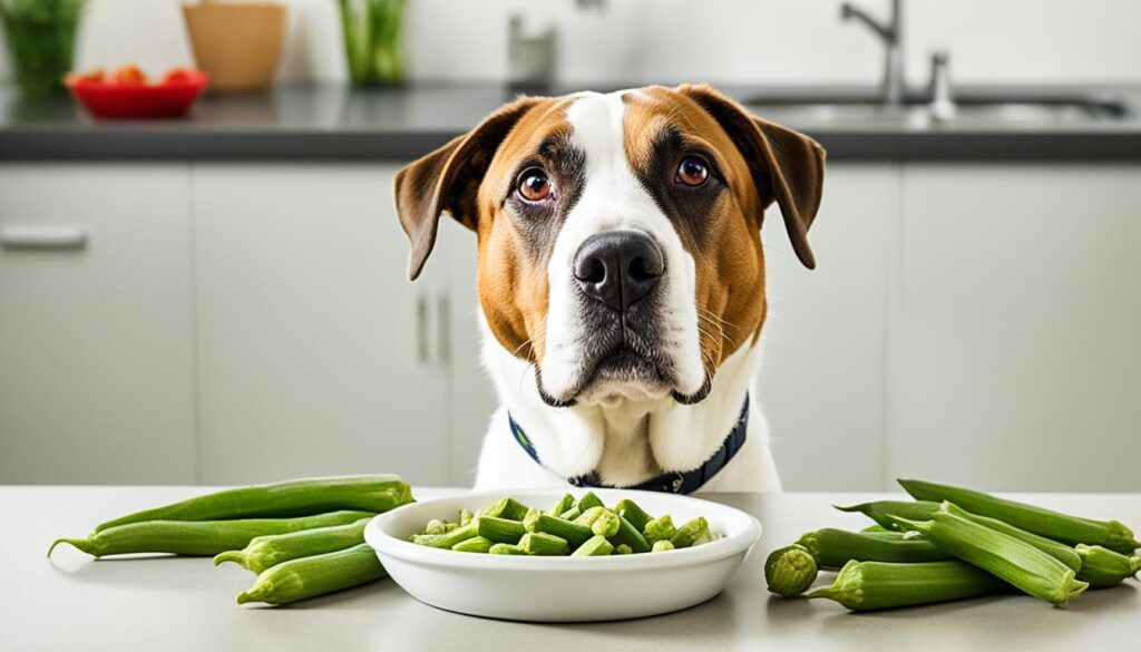 Risiken und Vorsichtsmaßnahmen bei der Fütterung von Okra an Hunde