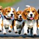 beagle-namen-200-grosartige-ideen-fur-die-benennung-ihres-beagle