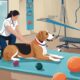 dog physical therapy expenses