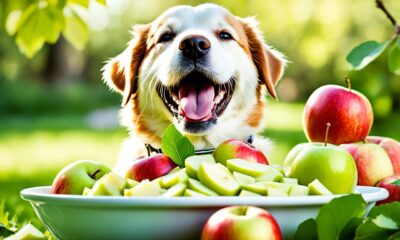 dürfen hunde apfelmus essen