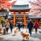 entdecken-sie-japanische-hunderassen-von-japan-in-ihre-heimatstadt