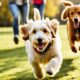 golden-retriever-beagle-mix-zwei-der-weltweit-beliebtesten-hunderassen