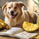 hunde und ananas ern hrung