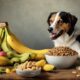 hunde und bananen f ttern