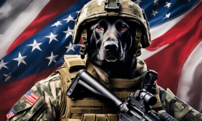 military-dog-names-50-awesome-name-optionen