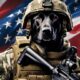 military-dog-names-50-awesome-name-optionen