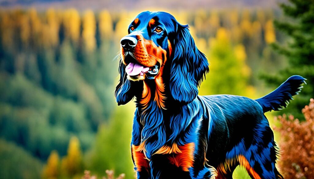 Gordon Setter