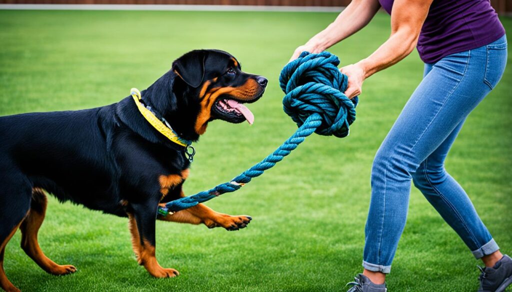 Spielregeln beim Spielen mit einem Rottweiler