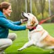 hunde erziehung tipps