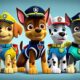 paw patrol hunde liste