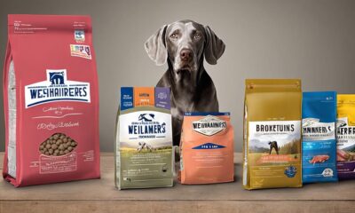 top hundefutter f r weimaraner