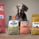 top hundefutter f r weimaraner