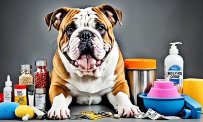 wie viel kosten englische bulldoggen