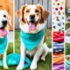 10 dog crafts projekte die einfacher sind als sie denken