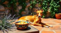 50 melodious italian dog names