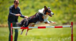 fortgeschrittene Trick-Trainingstechniken