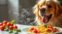 Können Hunde Pasta essen?
