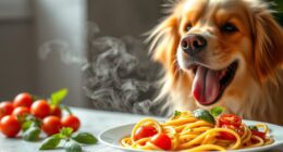 Können Hunde Pasta essen?