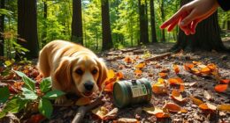 Hundefreundliches Geocaching-Abenteuer