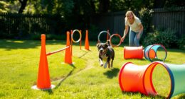 Garten-Hindernisparcours für Anfänger