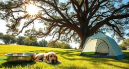 Verhindern Sie einen Hitzschlag bei Hunden