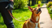 Verhinderung des Ziehverhaltens bei Hunden