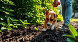 Hunde daran hindern, zu graben