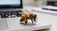 Biene bei der Arbeit, Prioritäten zuerst