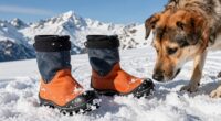 Wahl der Hundeschuhe für Wanderungen