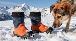 Wahl der Hundeschuhe für Wanderungen