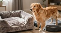 Hundebetten-Entspannungsbalance