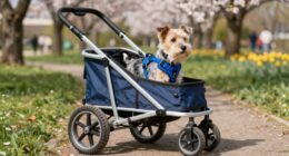 Hunde-Karren für Senioren
