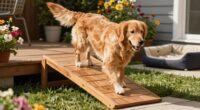 Hundetreppen verbessern das tägliche Leben