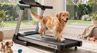 Hund-Treadmill-Nutzungsrichtlinien