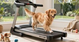 Hund-Treadmill-Nutzungsrichtlinien