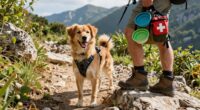 Hiking-Sicherheitsausrüstung für Hunde