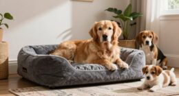 Orthopädische Hundebetten Vorteile