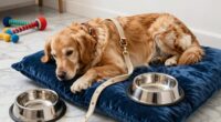 Qualitäts-Hundezubehör ist wichtig