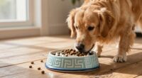 Langsame Futterspender für Hunde
