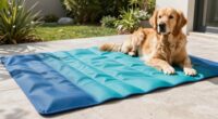 Top-Kühlmatten für große Hunde