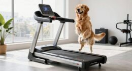 Top-Hund-Laufband Bewertungen