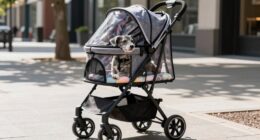 Top-Hundetransporter für ältere Hunde