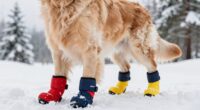 top Schneehundschuhe