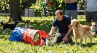 Unberechenbarer Hundebesucher Training